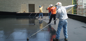 Waterproofing Contractor